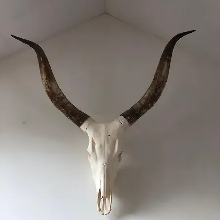 Accommodatie bij particulieren Les Ecuries