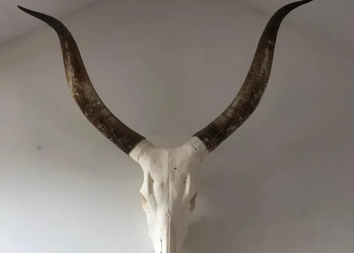 홈스테이 Les Ecuries